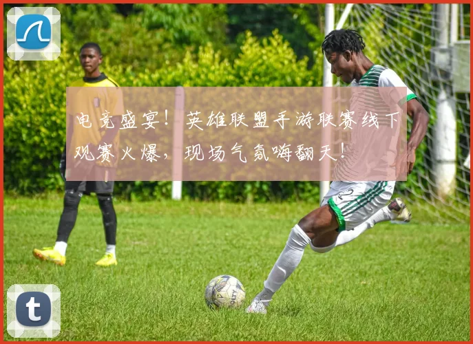 电竞盛宴!英雄联盟手游联赛线下观赛火爆,现场气氛嗨翻天!